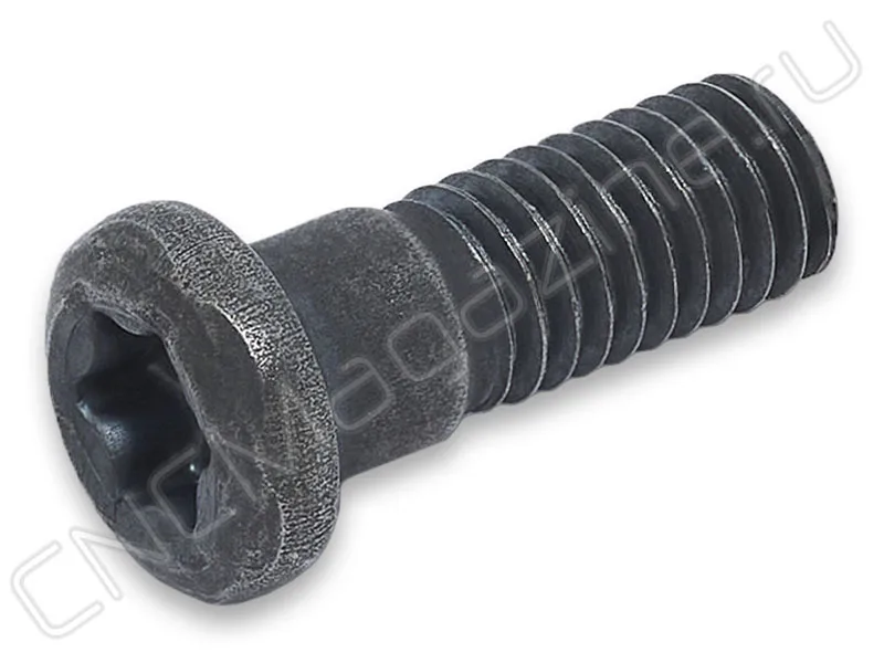 крепежный винт MSD AJS3010T10, арт. 20692