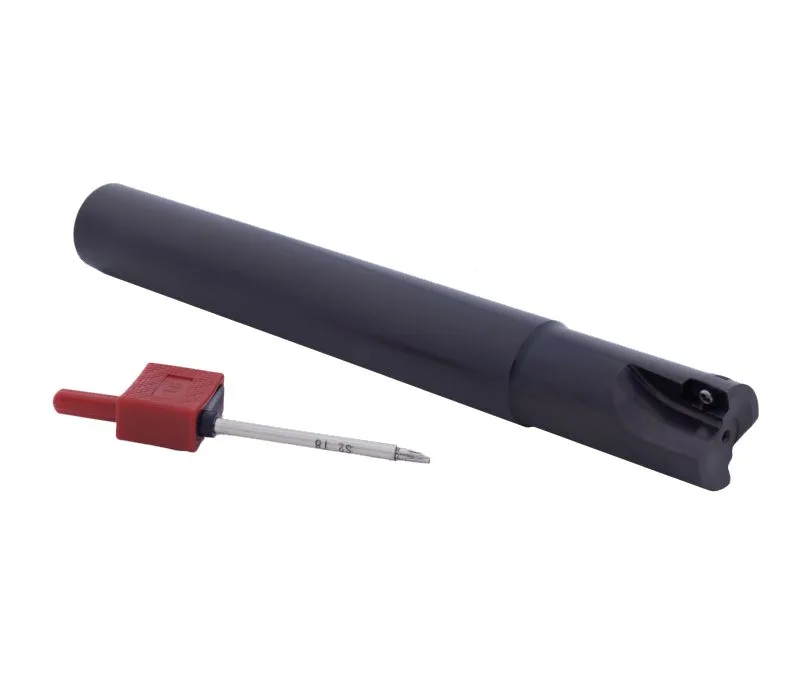 Фреза концевая со сменными пластинами 00062408 SANT BAP300R-25-200-C25-2T