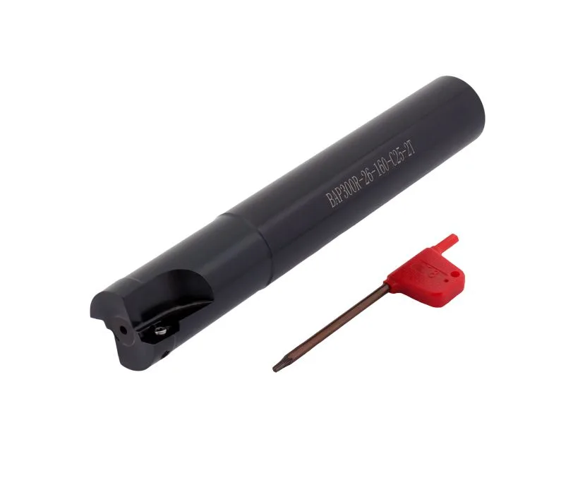 Фреза концевая со сменными пластинами 00062409 SANT BAP300R-26-160-C25-2T