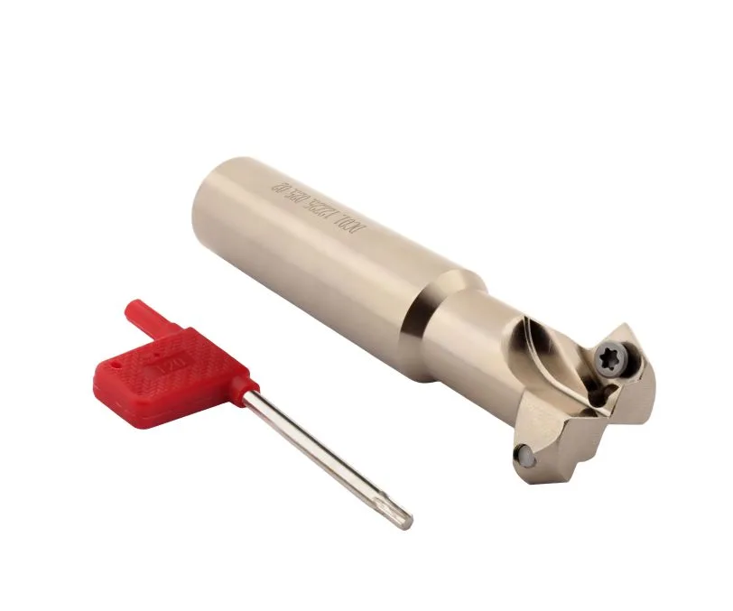Фреза фасочная со сменными пластинами 00060481 SANT DC01.12Z25.025.02