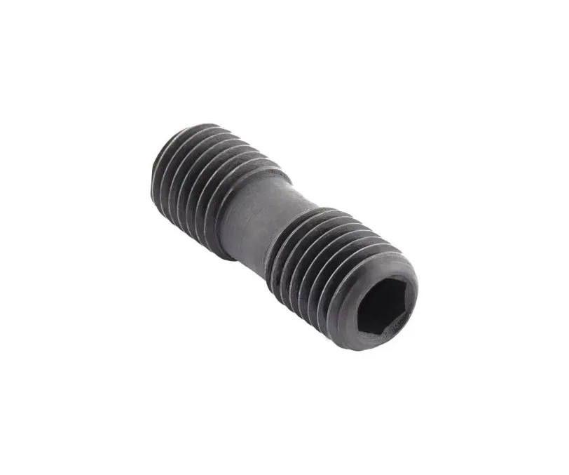 Винт прижима SANT DM8x21X, арт. 00062319