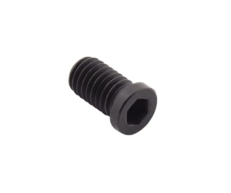 Винт подкладной пластины (для TN16, DN11, VN16, WN06) SANT DSP0510, арт. 00059265