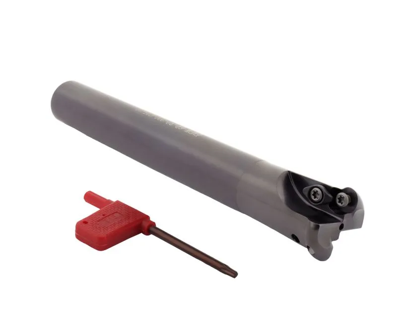 Фреза концевая со сменными пластинами SANT EMRW-6R-32-200-C25-2T, арт. 00062452