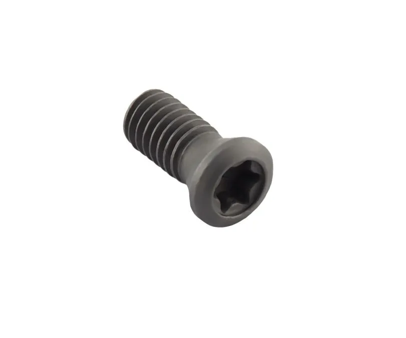Винт 00060604 SANT L60M4x10