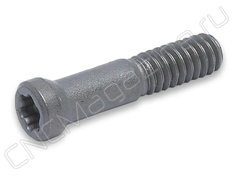 винт CNCM M2x10, арт. 24043
