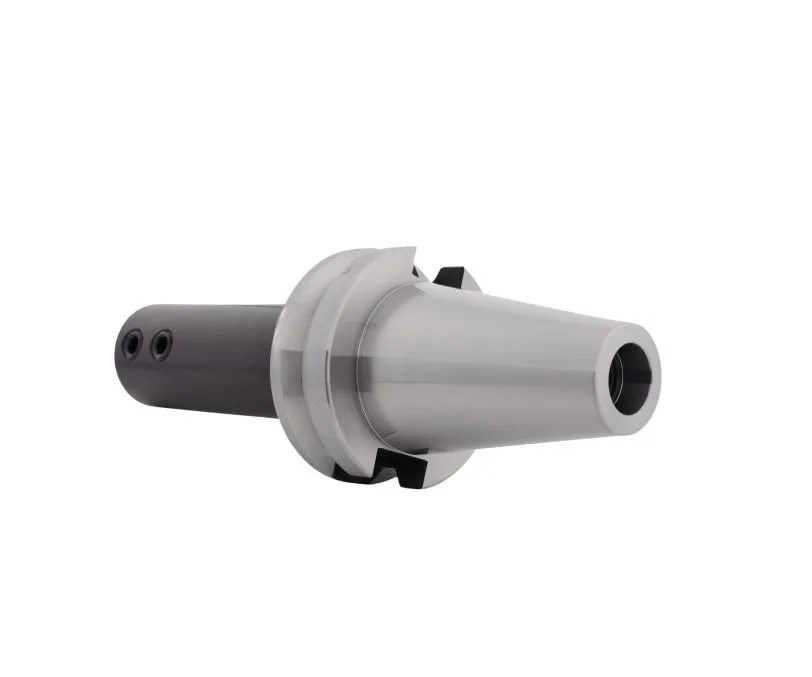 Патрон для концевых фрез с хвостовиком Weldon BT50-SLN25-300 MAS 403 Zegyo, арт. 00077923: фото 2