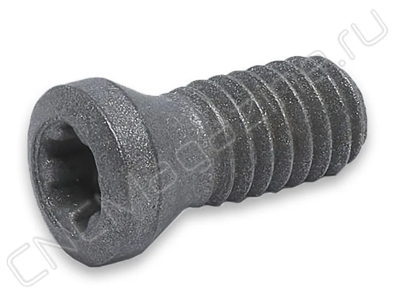 Винт SI60M025065-03610IS Intool, арт. 16953