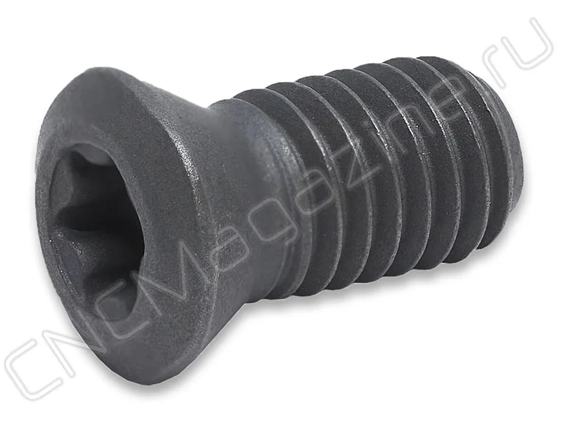 Винт SI60M5.0x10.8-07209S Intool, арт. 16780