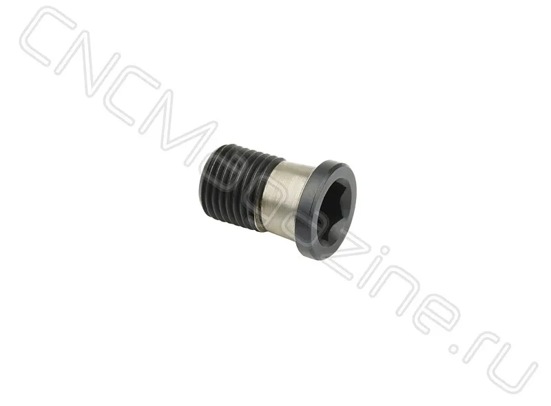 винт Intool SSAM050085, арт. 08995